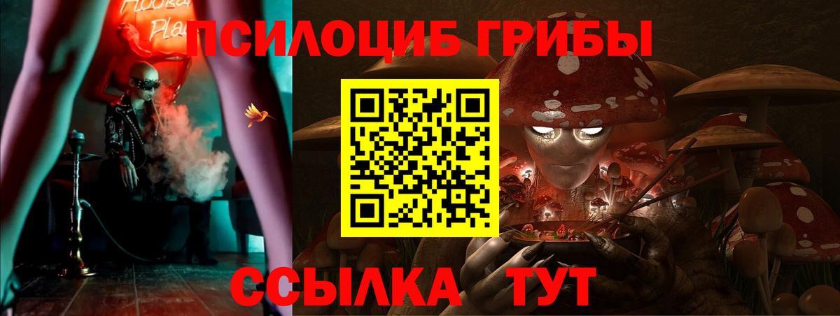 Галлюциногенные грибы MAGIC MUSHROOMS  Вход с VPN  Тихорецк 